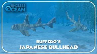 Japanese Bullhead Shark (New Species)