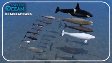 Endless Ocean Cetacean Pack