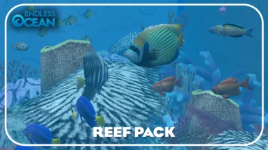 Reef Pack