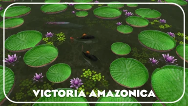 Victoria Amazonica (New Foliage)