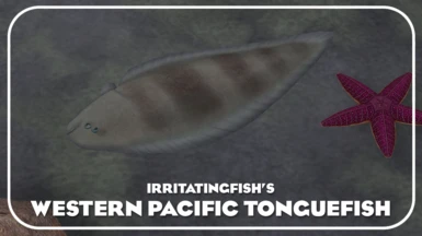 Western Pacific Tonguefish (New Species)