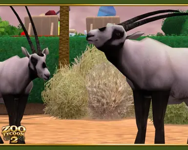 Arabian Oryx (Bonus Download) at Zoo Tycoon 2 Nexus - Mods and community