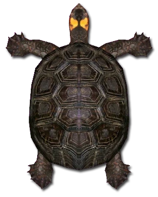 Bog Turtle Download