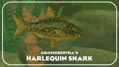 Harlequin Shark (New Species)