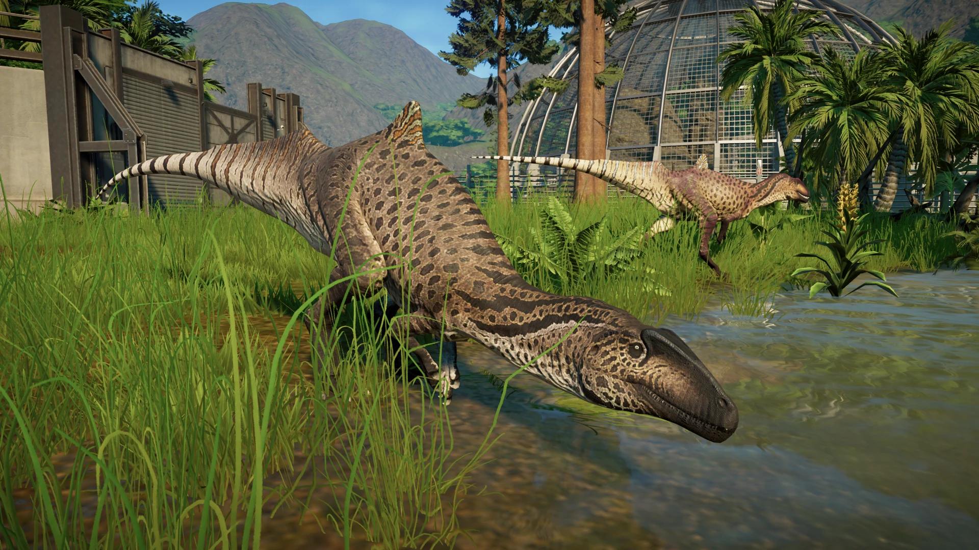 JFD Concavenator corcovatus (New Species at Jurassic World Evolution ...