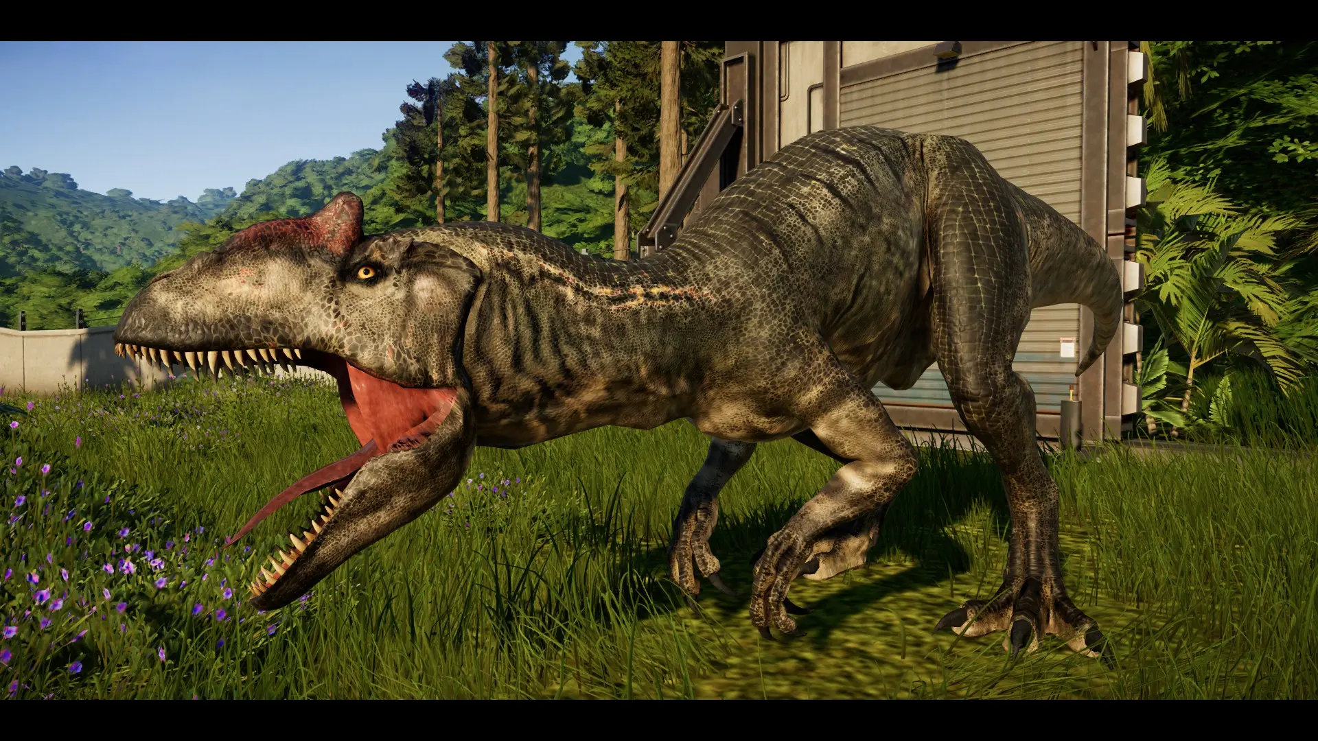 Allosaurus Based On WWD's Big Al At Jurassic World Evolution Nexus ...