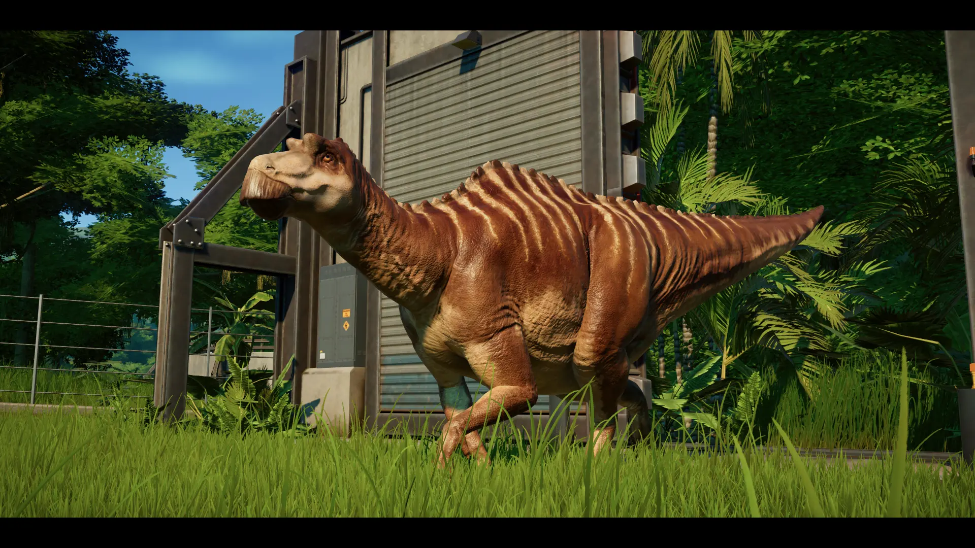 maiasaura jurassic world evolution