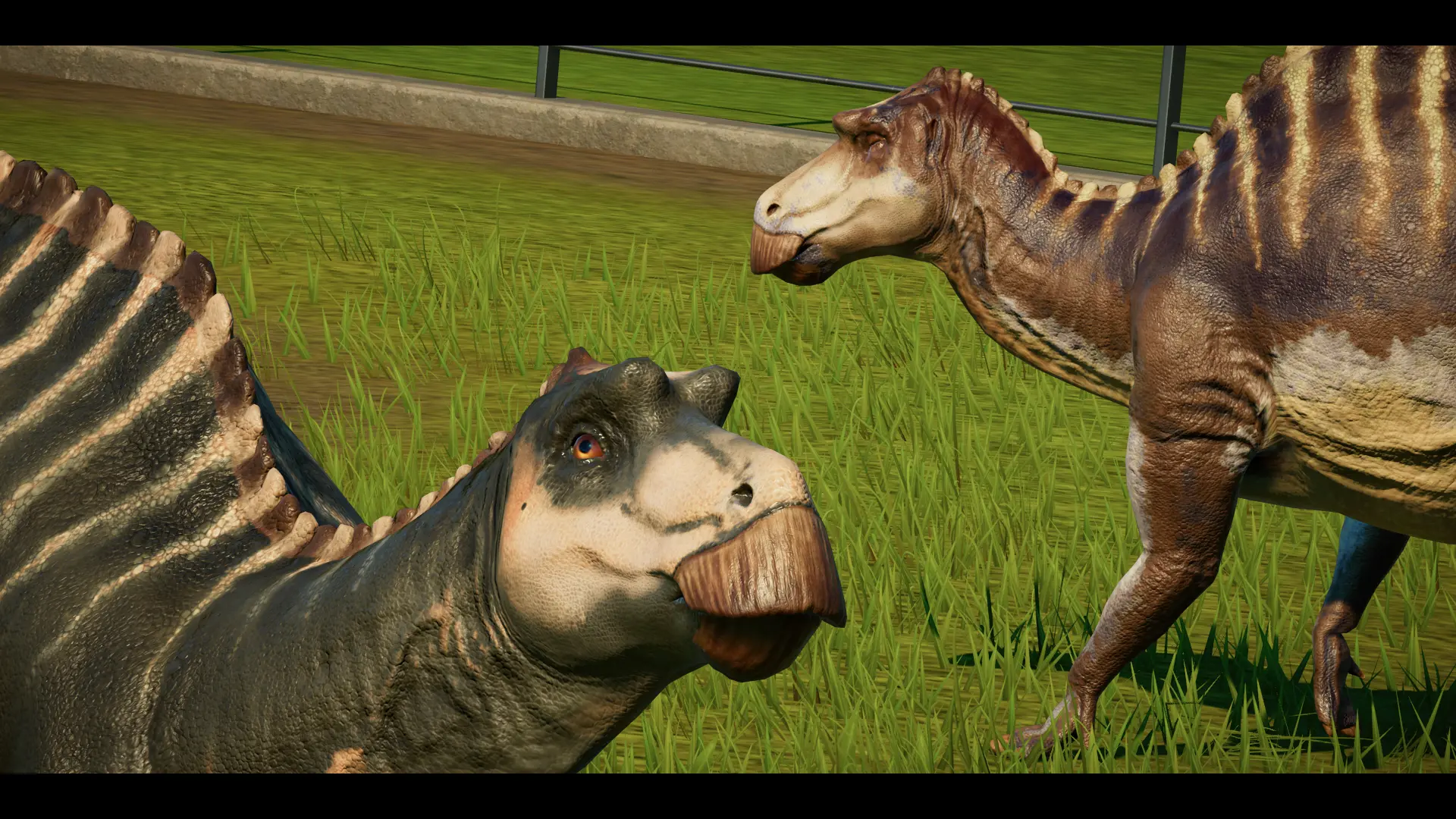 maiasaura jurassic world evolution