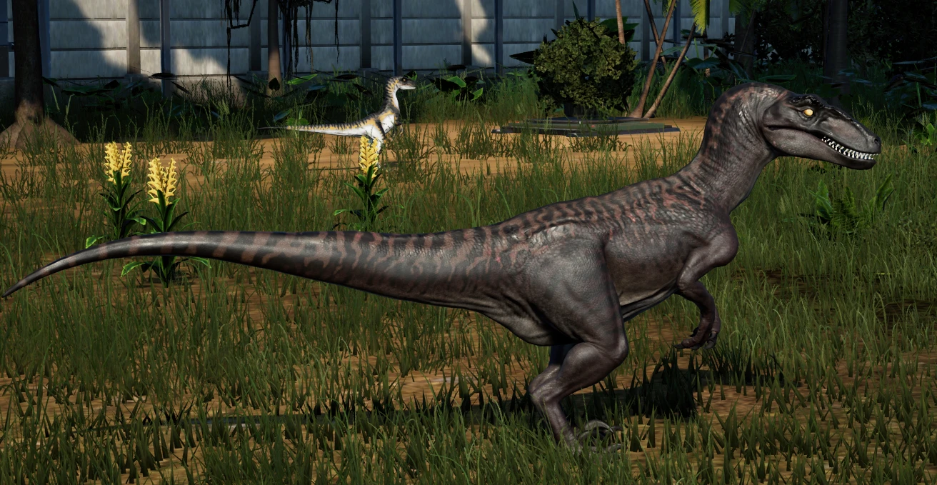 The Isle Evrima Utahraptor (New Species) at Jurassic World Evolution ...