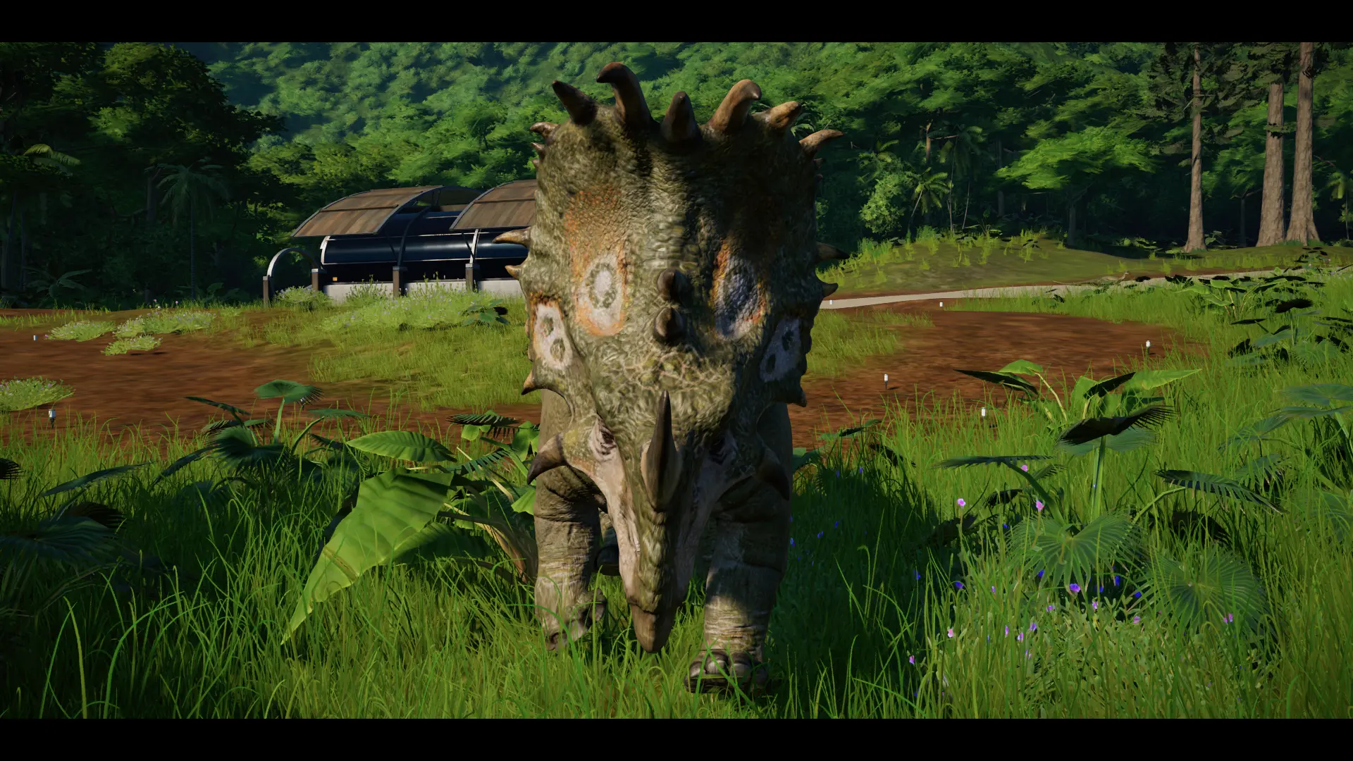 sinoceratops real