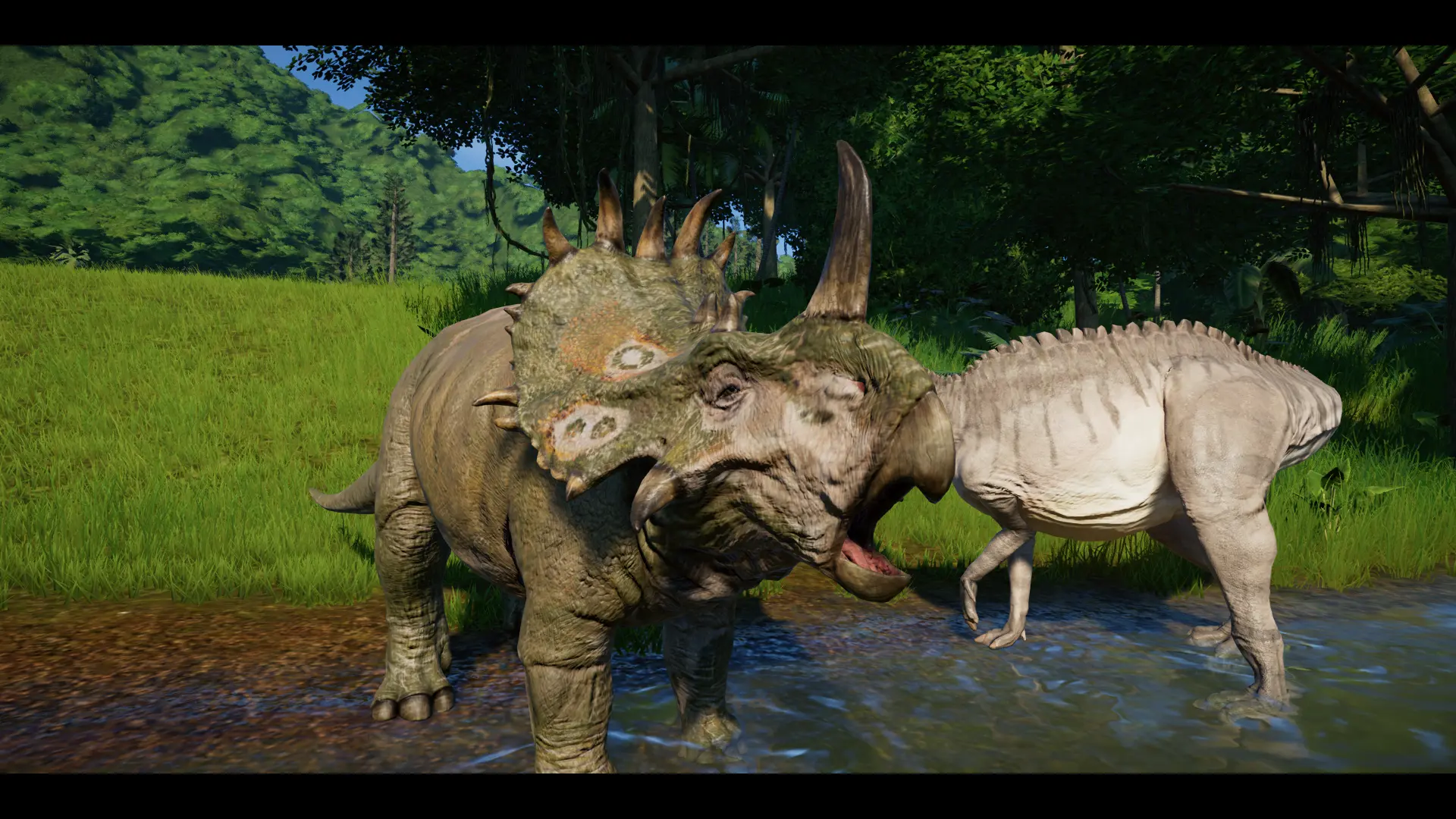 sinoceratops real