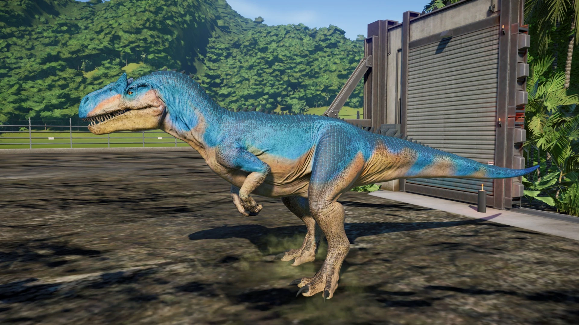 big rock allosaurus