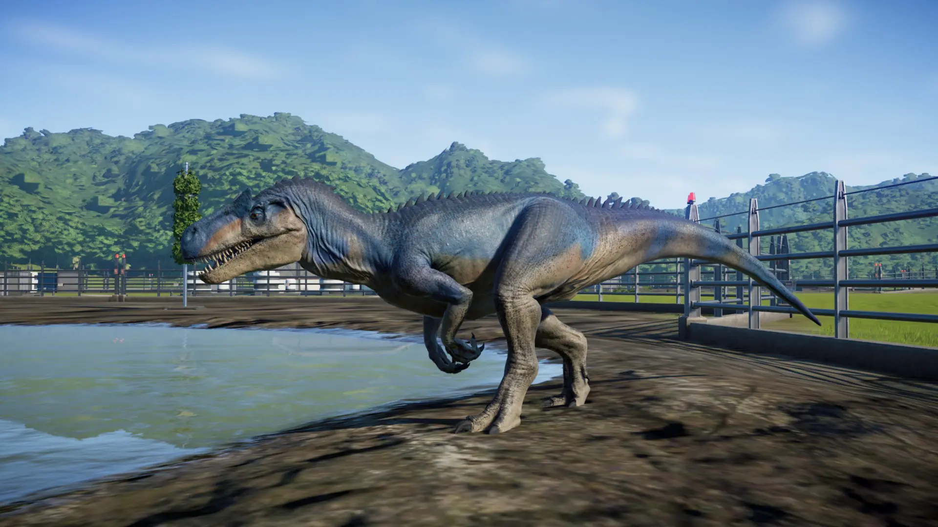 big rock allosaurus