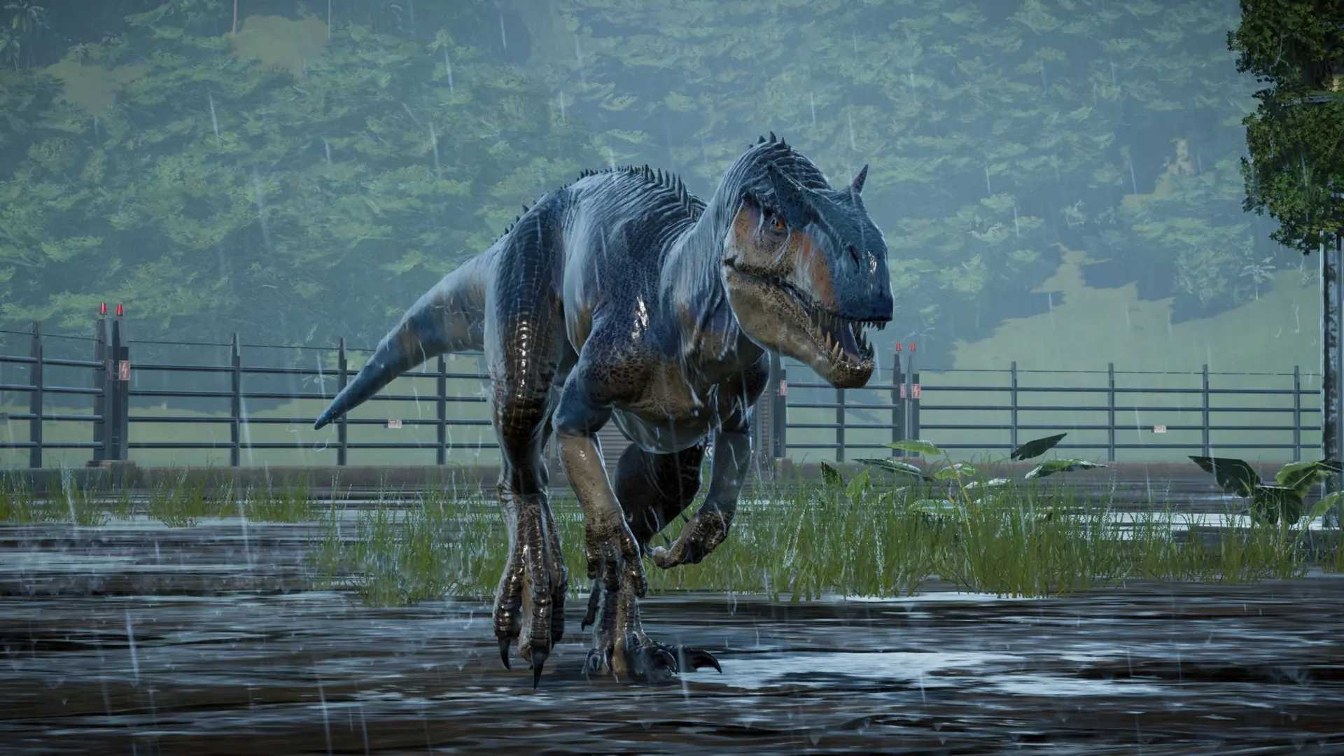 big rock allosaurus