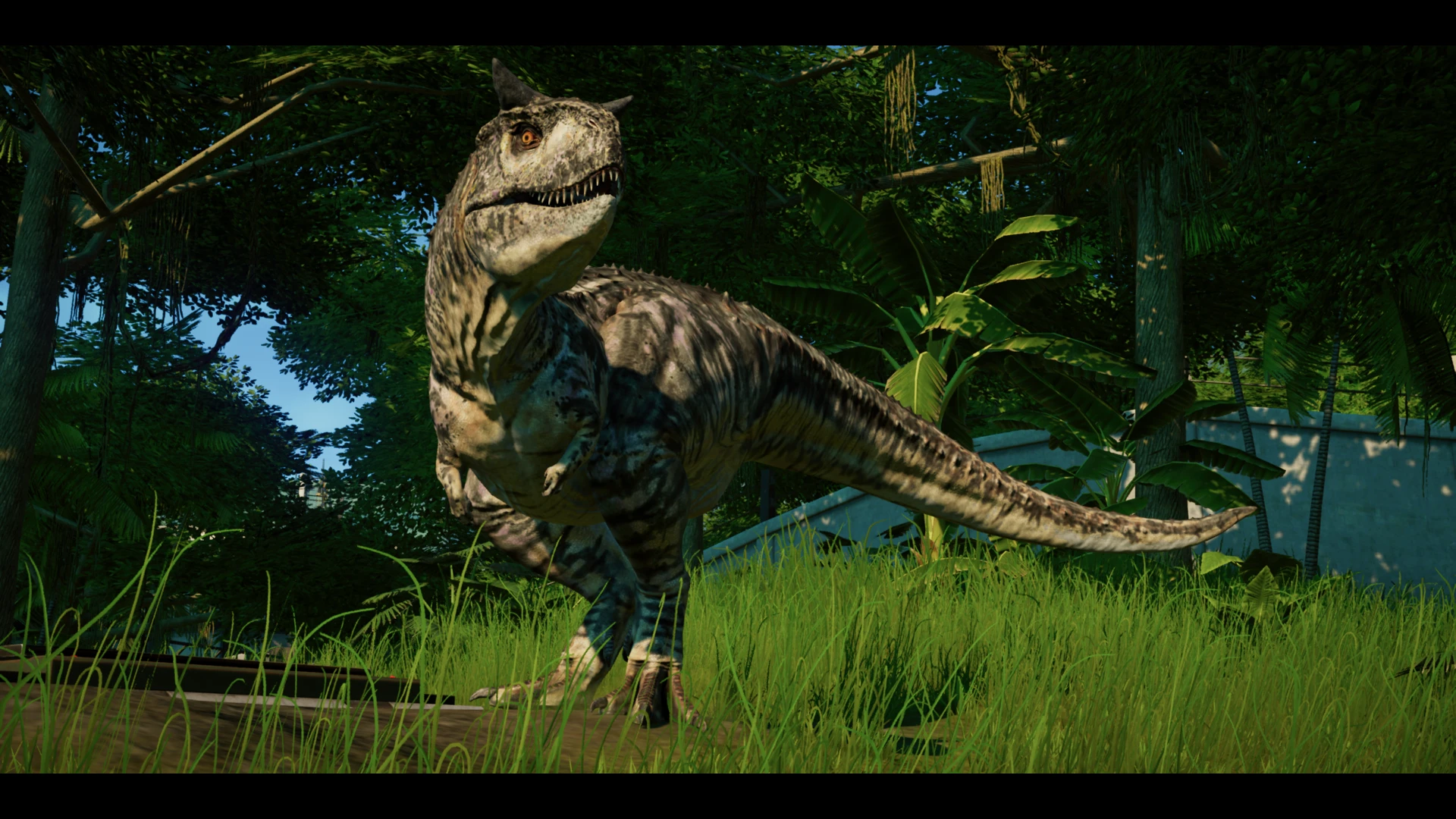 carnotaurus jurassic world evolution