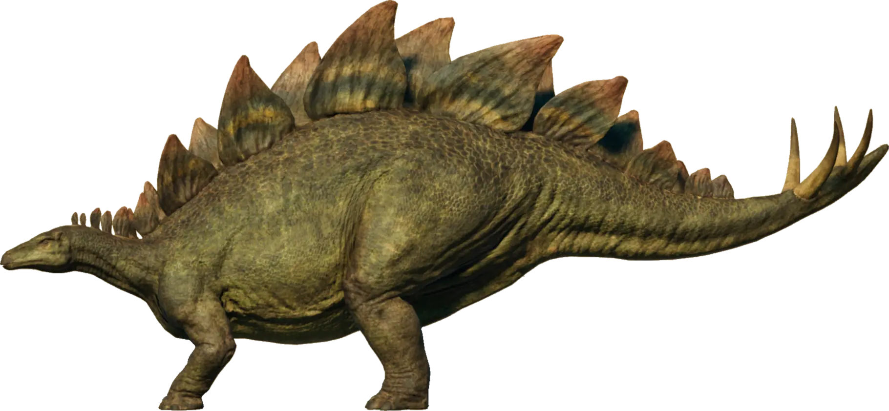 stegosaurus jp