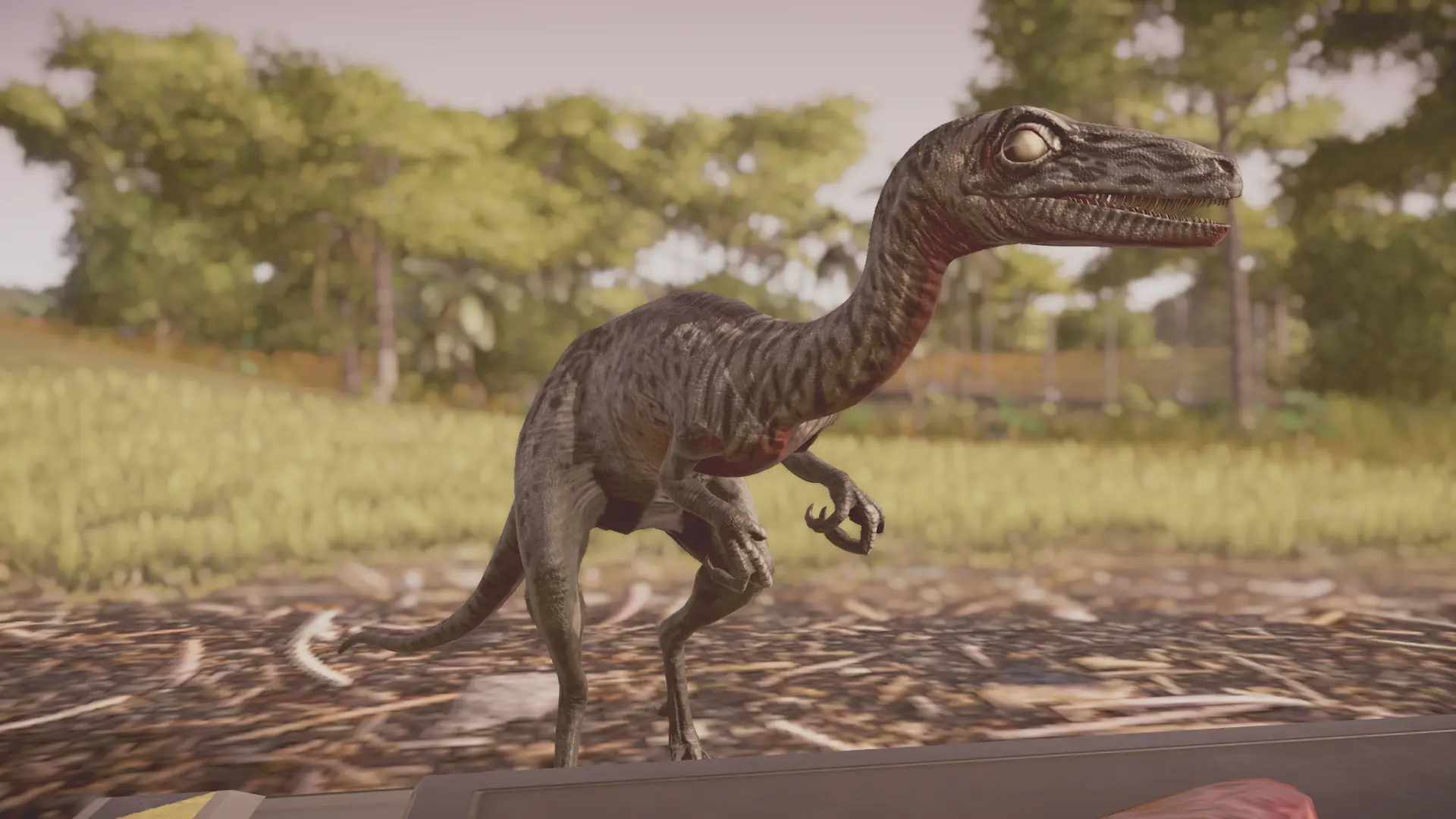 jurassic world troodon