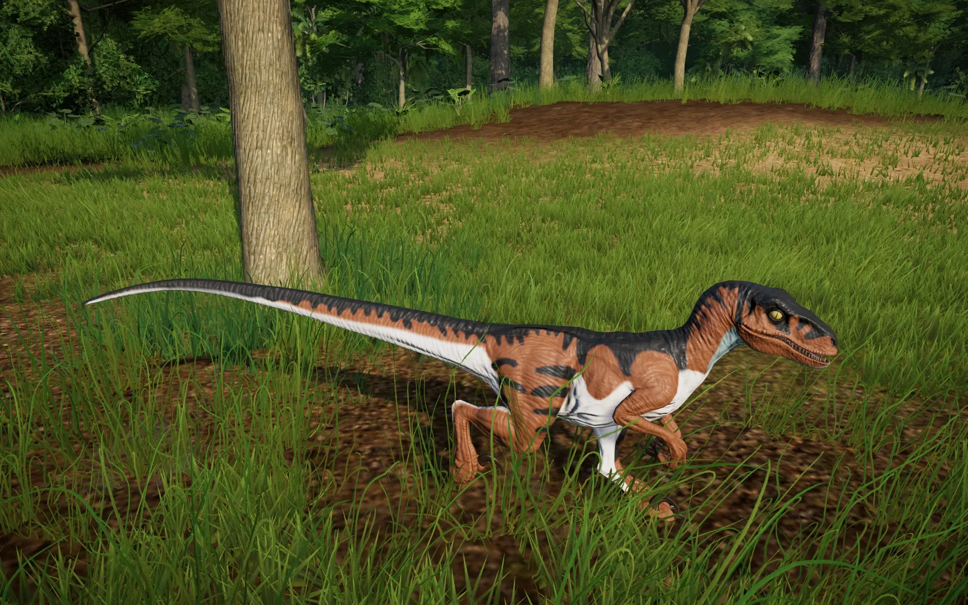 lost world velociraptor