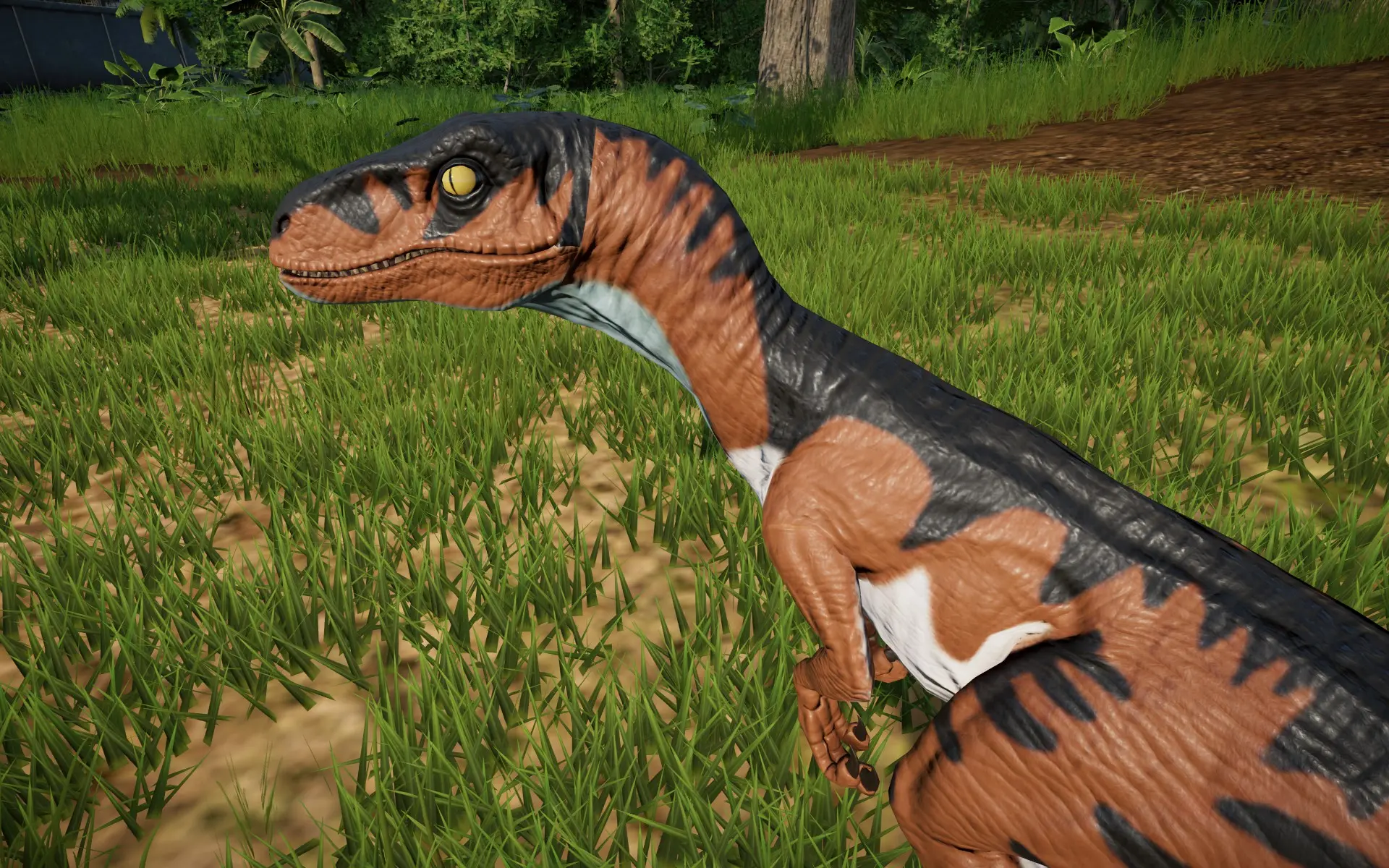 lost world velociraptor