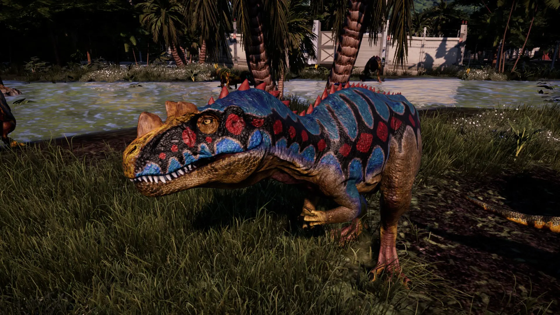 jwe ceratosaurus