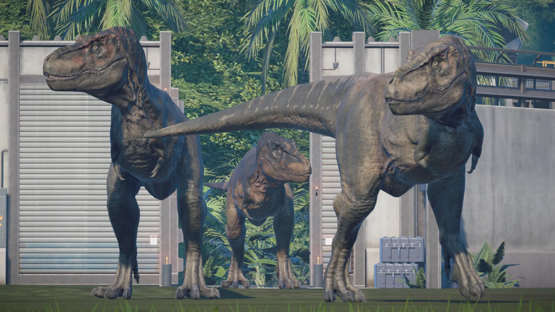 t rex pack