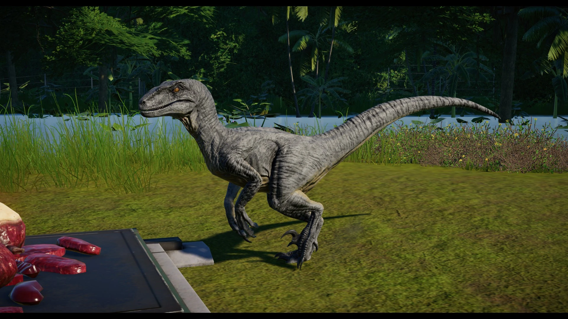 Better Raptors At Jurassic World Evolution Nexus Mods