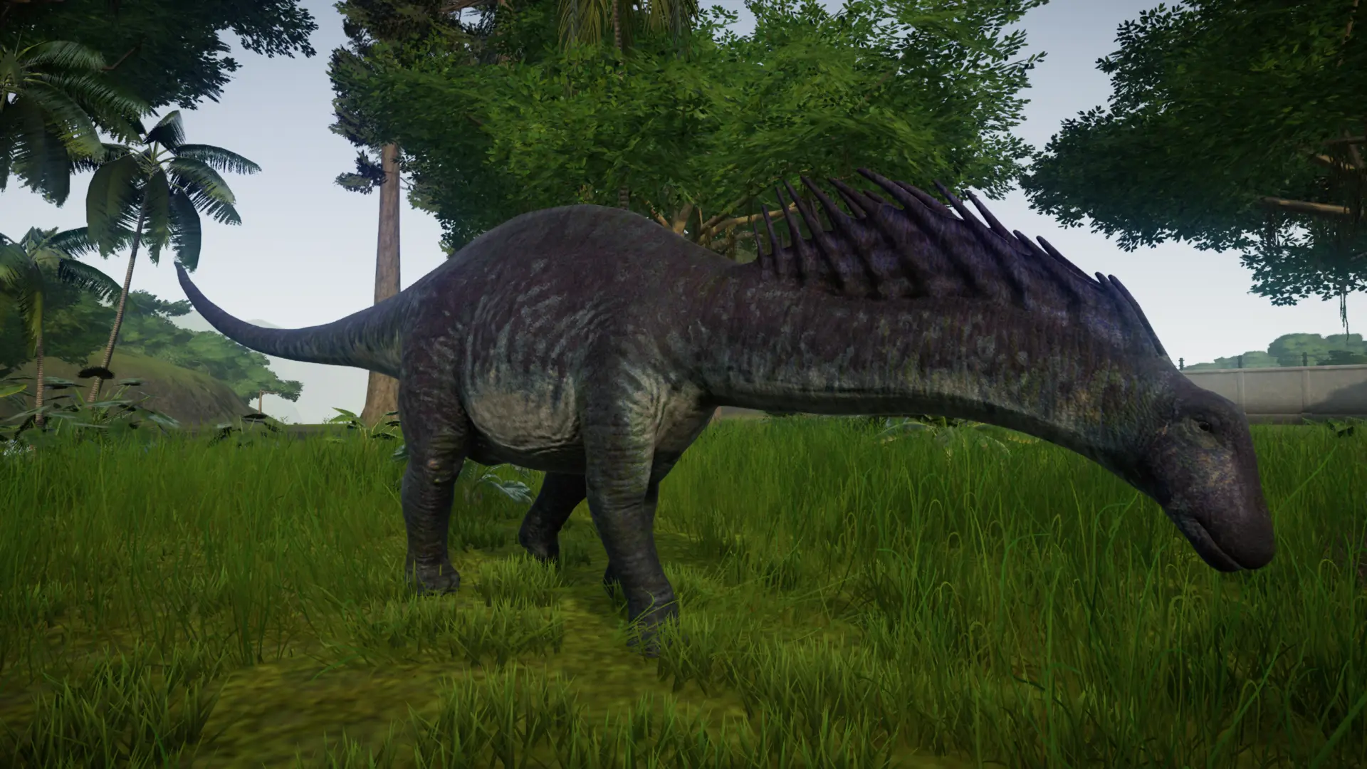 amargasaurus jurassic world alive