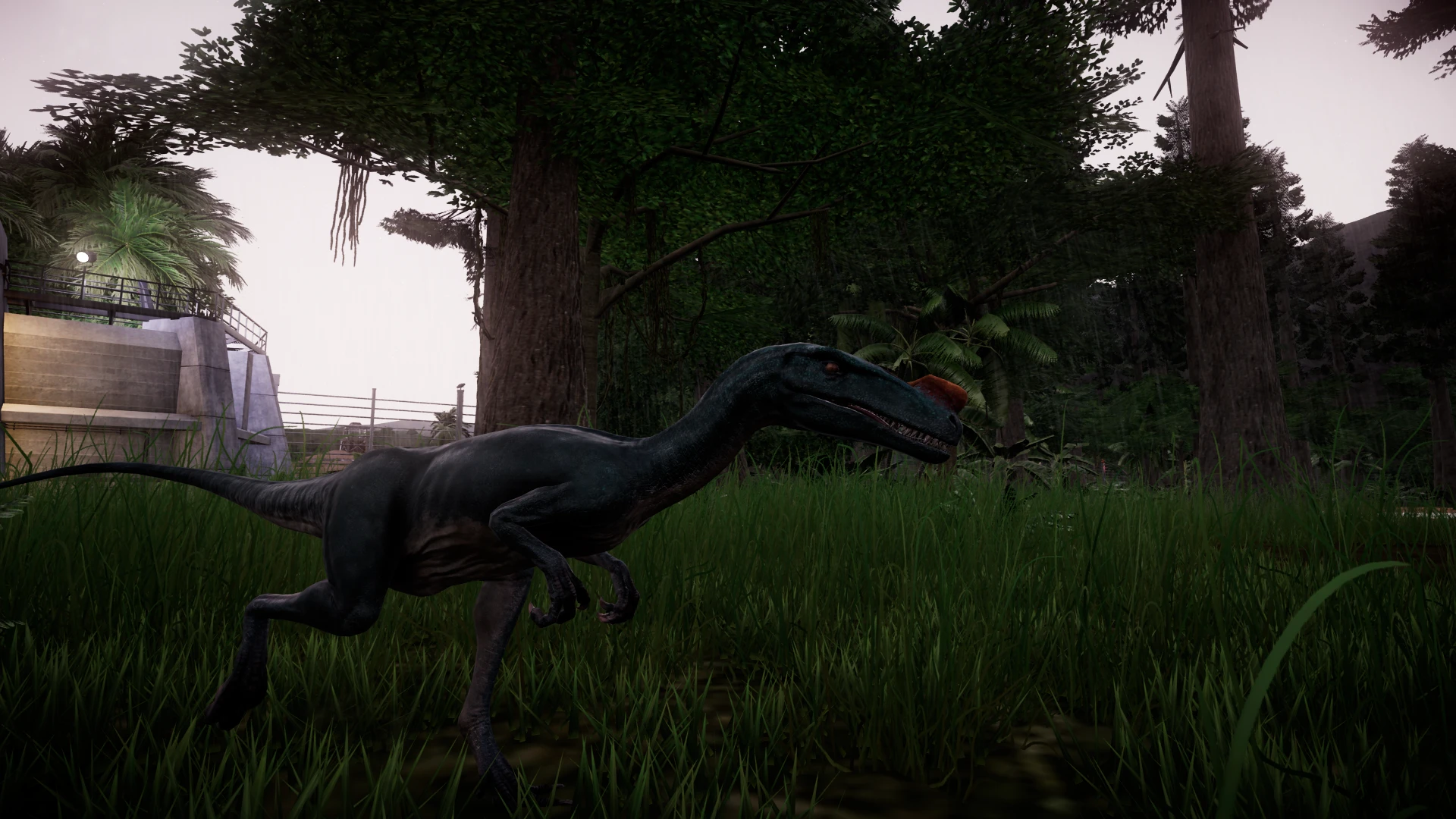 jwe proceratosaurus