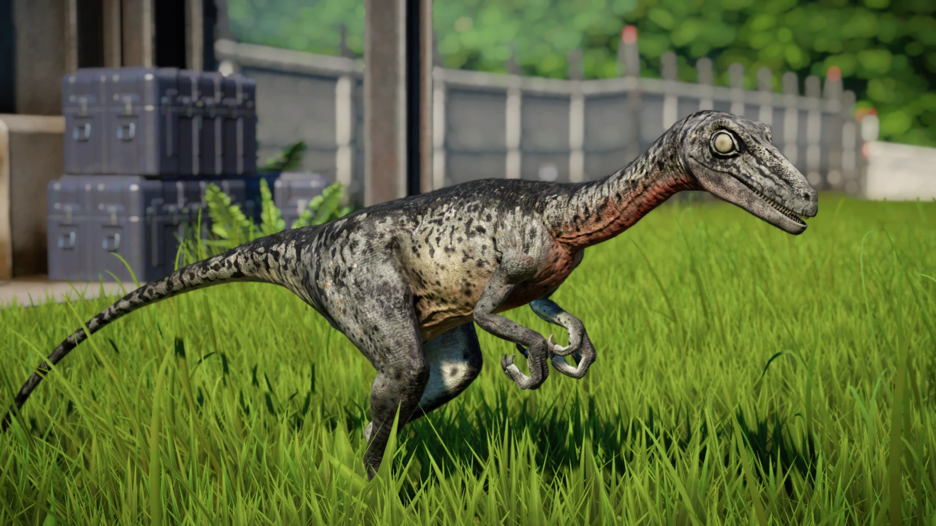jurassic park the game troodon