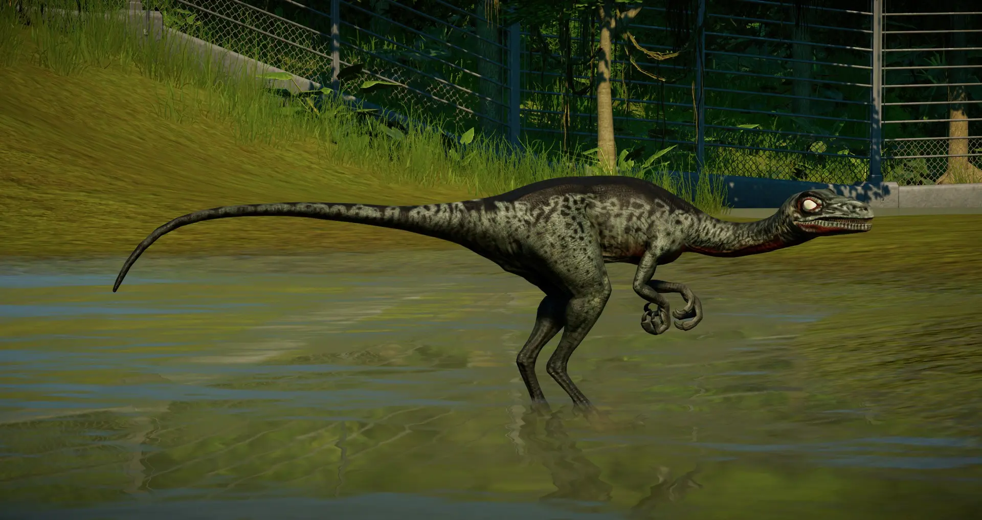 jurassic world troodon