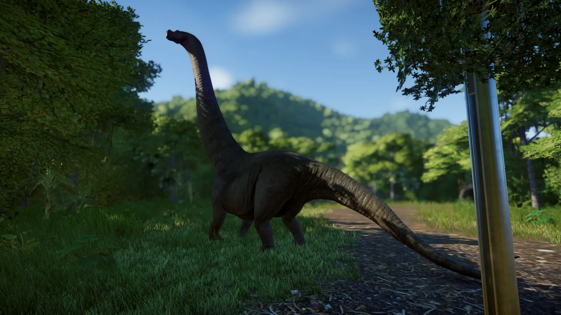 Dreadnoughtus remake (bulbous-nosed optional) at Jurassic World ...