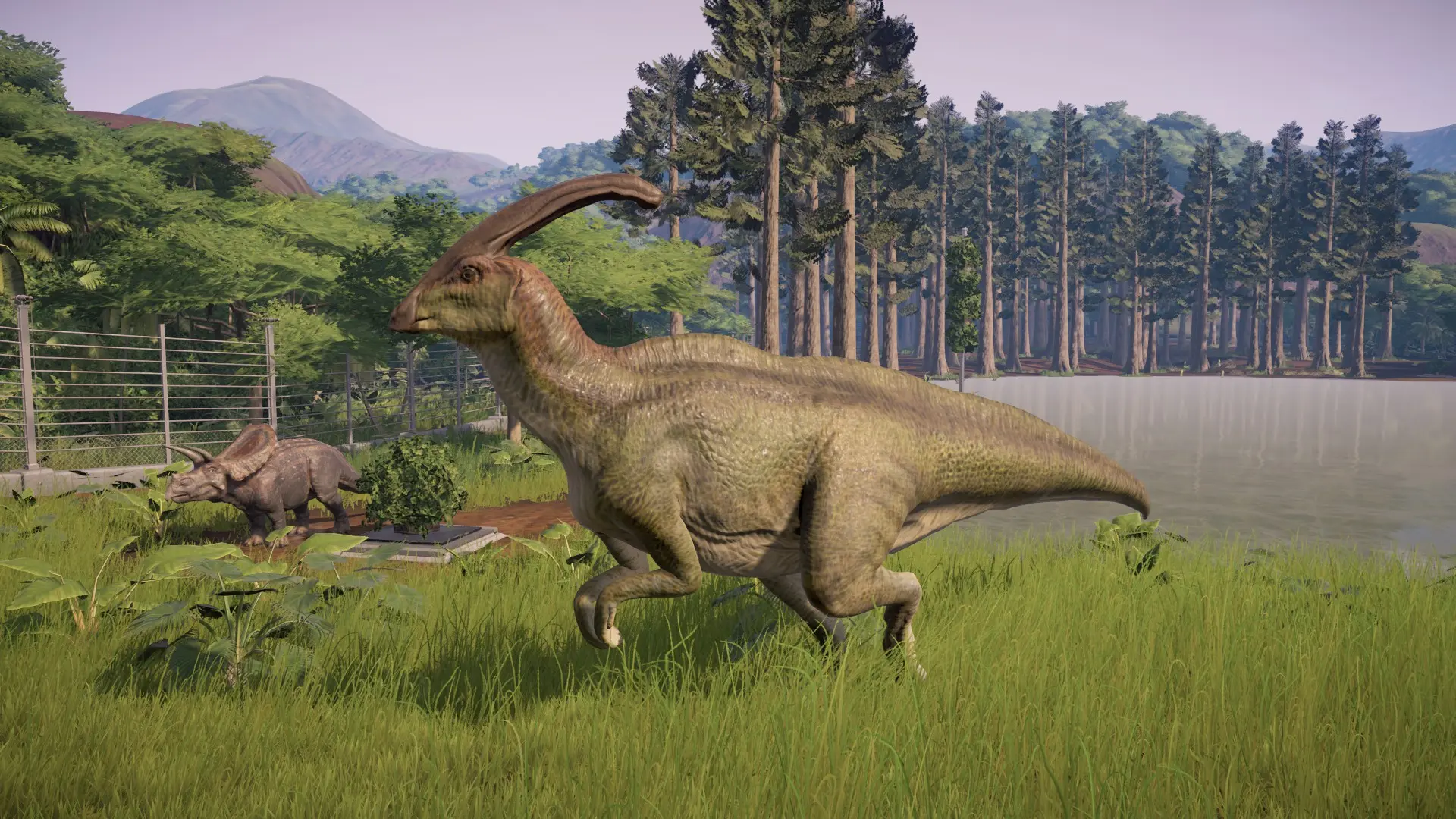 accurate parasaurolophus