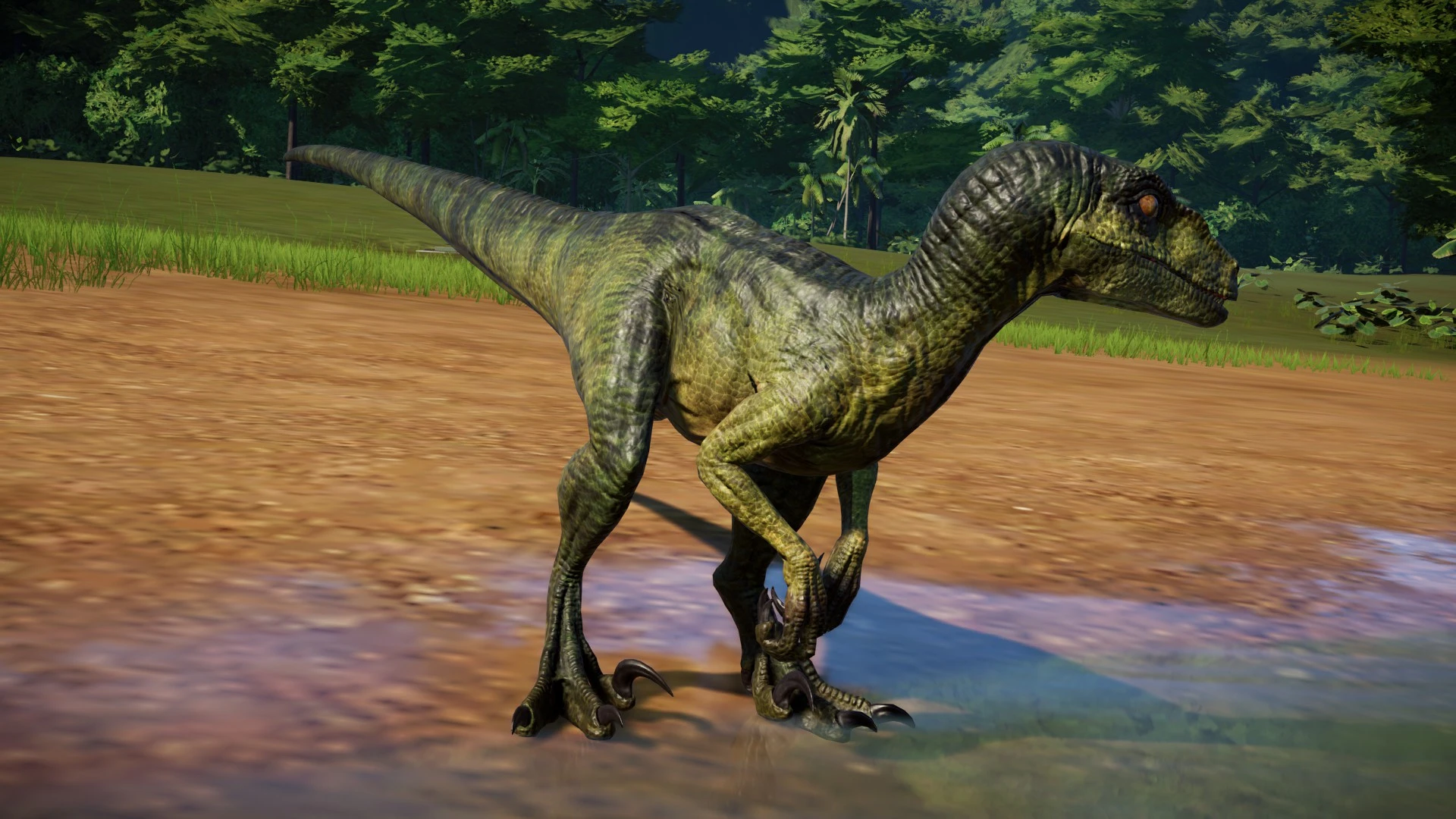 velociraptor jurassic world