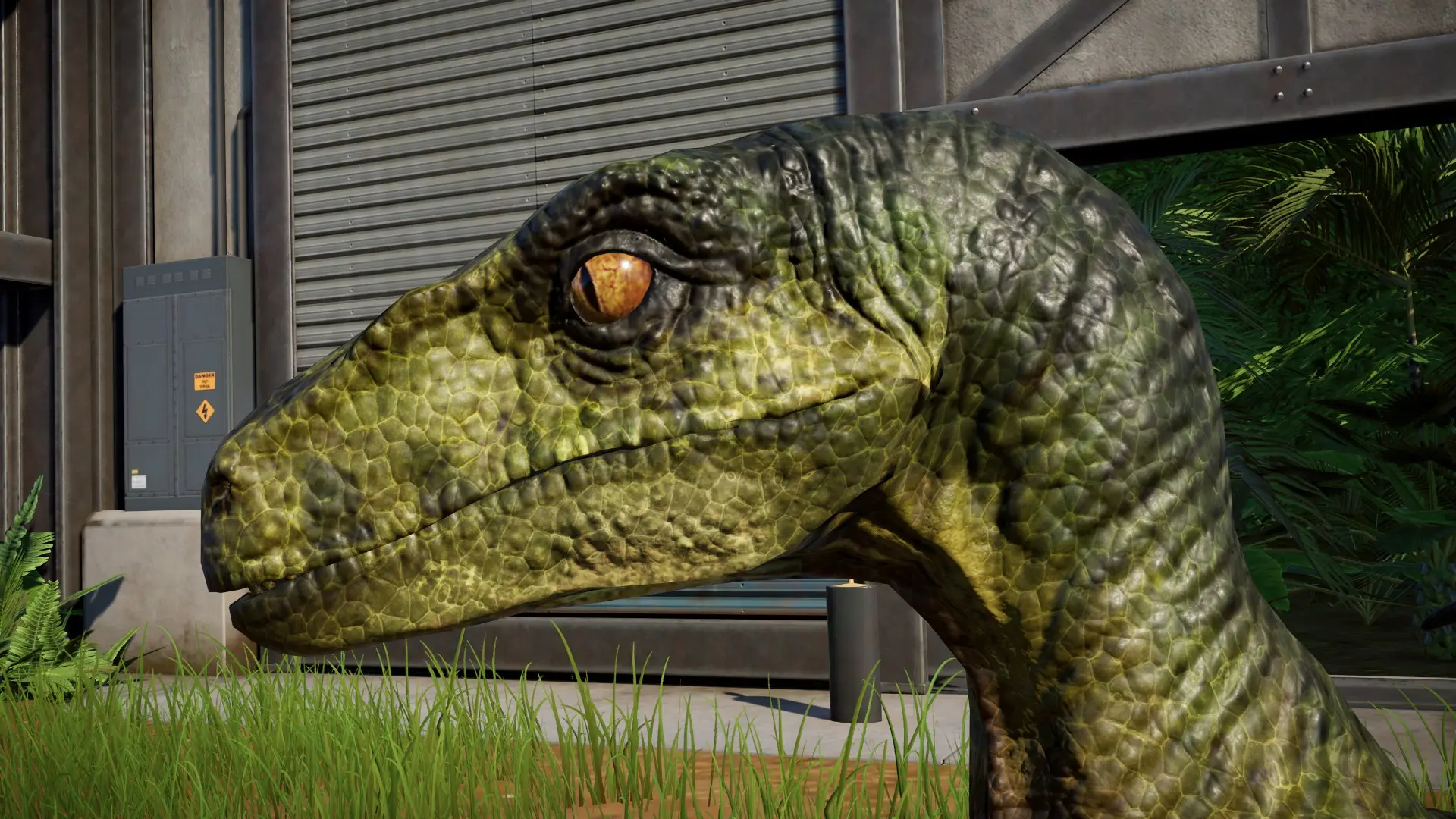 jwe velociraptor