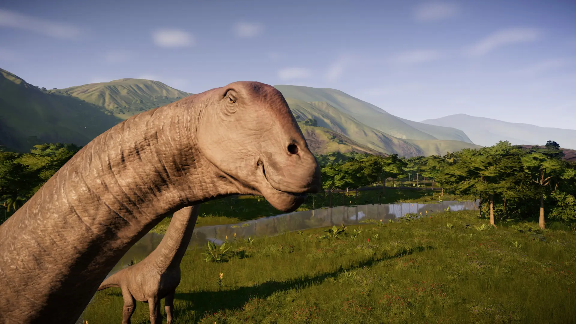 dreadnoughtus