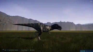 tundra (male)