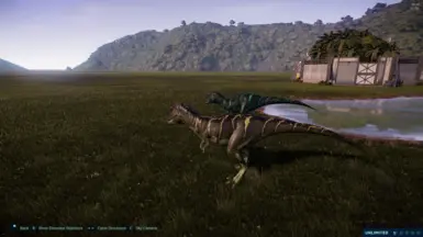 steppe (female)