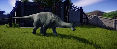 Magyarosaurus (Magyarosaurus dacus)