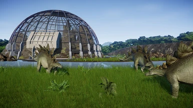 Stegosaurus paddock