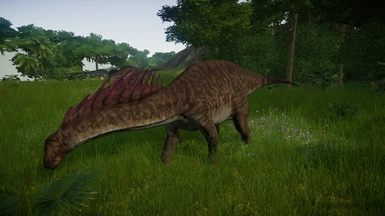 Amargasaurus (New Species)