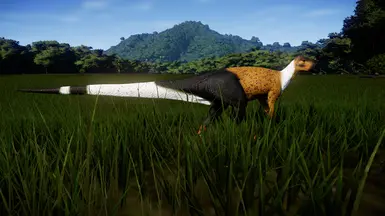 Jungle V2