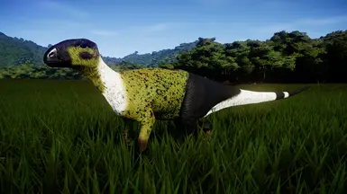 Wetland V2