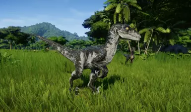 Velociraptor Null Gene replacement