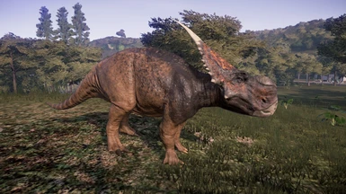 Achelousaurus (New Species) by KeineKreativitaet