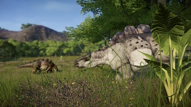 Wuerhosaurus homheni