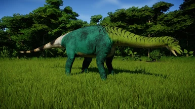 Amazonsaurus (New Species)