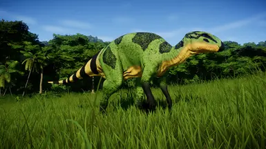 Jungle V2
