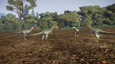 Patagonykus, left to right: Basic, Rainforest, Wetland, Jungle