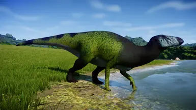 Wetland V2
