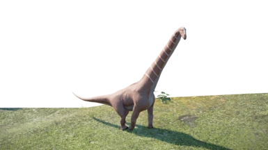 Barosaurus (New Species)